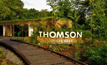 upper-thomson-road-condo-near-thomson-nature-park-singapore upper-thomson-road-condo-near-thomson-nature-park-singapore